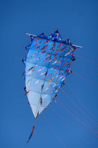 " Hommages à Irens... " Navette #2/4