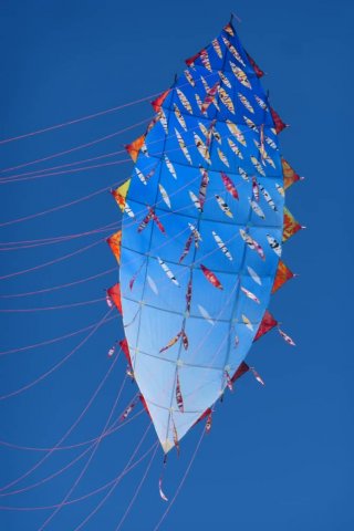 "Comme une graine semée" Navette #3/4